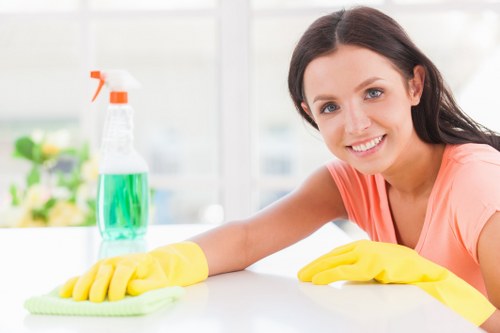 Professional rug cleaning service for a Maidavale home interior