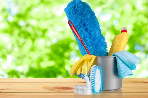 Detailed builders dust removal and surface cleaning in Maidavale