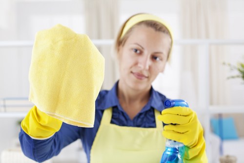 Professional carpet cleaning service in a Maidavale home living area