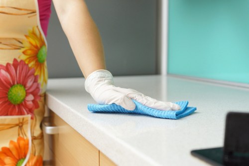 Facade cleaning service for a building exterior in Maidavale