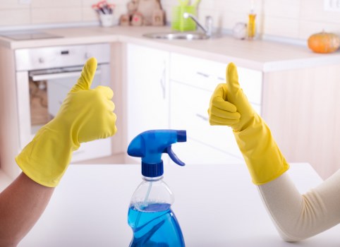 Steam cleaning equipment used on carpets in Maidavale