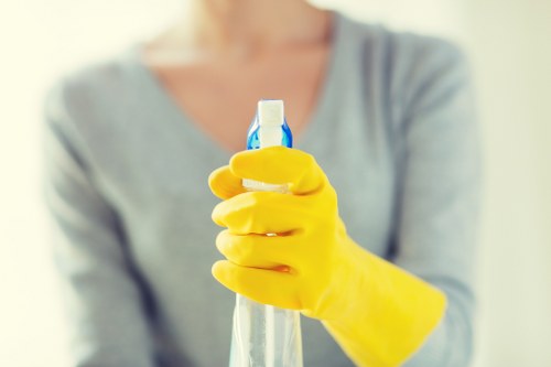Deep cleaning treatment for cat urine and pet stains in a Maidavale home