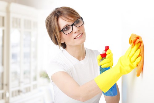 Deep cleaning of oven trays, racks, and interior surfaces in Maidavale