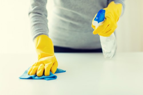Routine domestic cleaning checklist for a Maidavale home