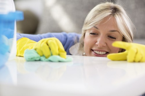 Local Maidavale oven cleaner working on a busy family cooker