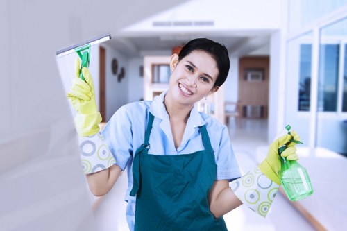 Careful stain removal service for homes and offices in Maidavale