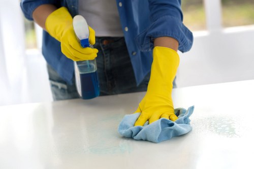 Careful treatment of a stained rug in the Maidavale area