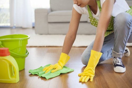 Cleaner treating a stained carpet in Maidavale