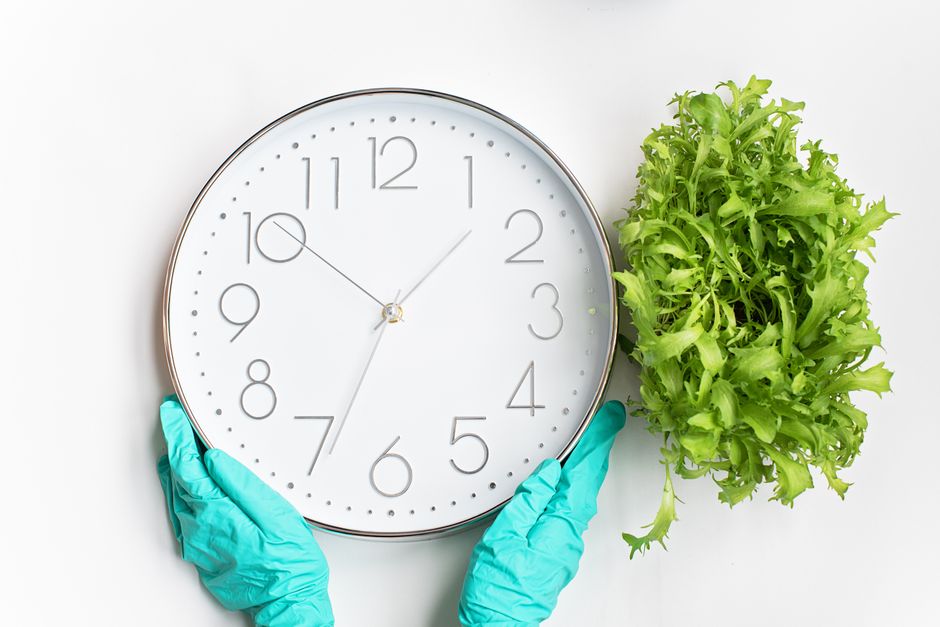 Two hands wearing bright blue cleaning gloves hold a large white wall clock with black numerals and minimalistic hands, showing the time as approximately 12:05, next to a fresh green lettuce plant situated on a white surface. The image emphasizes surface cleaning and hygiene in domestic spaces, aligning with deep cleaning and sanitisation practices. The clean and bright setting, with good lighting, highlights the importance of timely cleaning in maintaining cleanliness, relevant to why spring timing matters for end of tenancy cleaning in Maida Vale, as promoted by Cleaner Maida Vale.