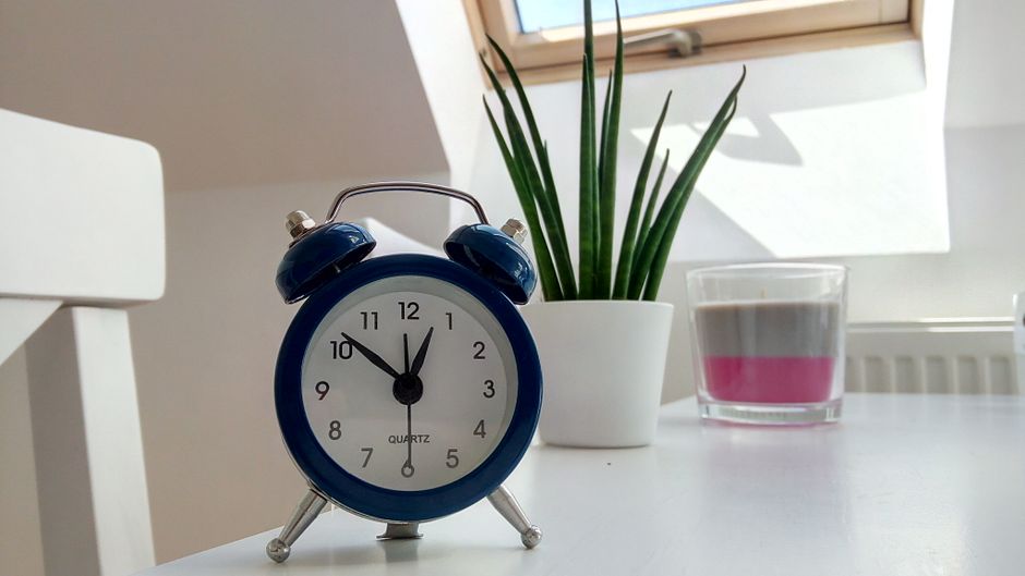 Two hands wearing bright blue cleaning gloves hold a large white wall clock with black numerals and minimalistic hands, showing the time as approximately 12:05, next to a fresh green lettuce plant situated on a white surface. The image emphasizes surface cleaning and hygiene in domestic spaces, aligning with deep cleaning and sanitisation practices. The clean and bright setting, with good lighting, highlights the importance of timely cleaning in maintaining cleanliness, relevant to why spring timing matters for end of tenancy cleaning in Maida Vale, as promoted by Cleaner Maida Vale.